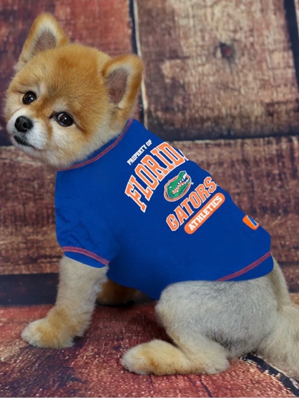 NWOT Florida Gators Dog Shirt in Blue and Orange
